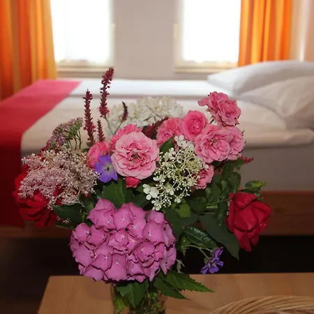 Altstadtidylle 1 Appartement